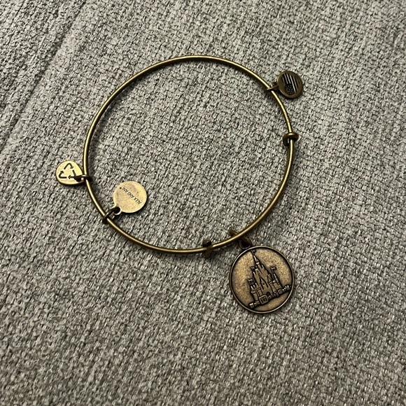Alexi and ani bracelet : Walt Disney World - Picture 1 of 3